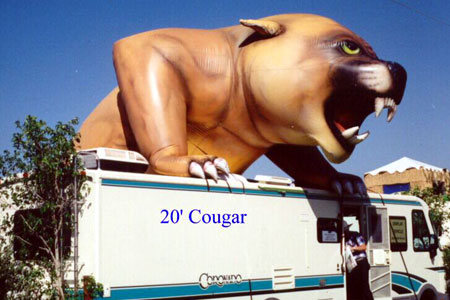 20' Cougar